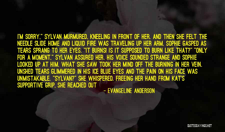 Sorry Your In Pain Quotes By Evangeline Anderson Sorry Your In Pain Quotes By Evangeline Anderson