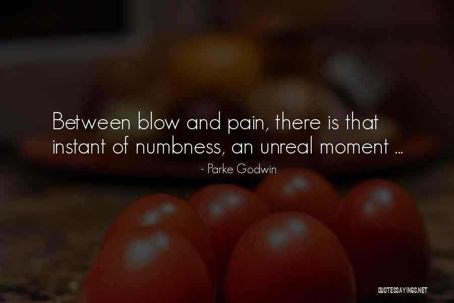 Sorry Your In Pain Quotes By Parke Godwin Sorry Your In Pain Quotes By Parke Godwin