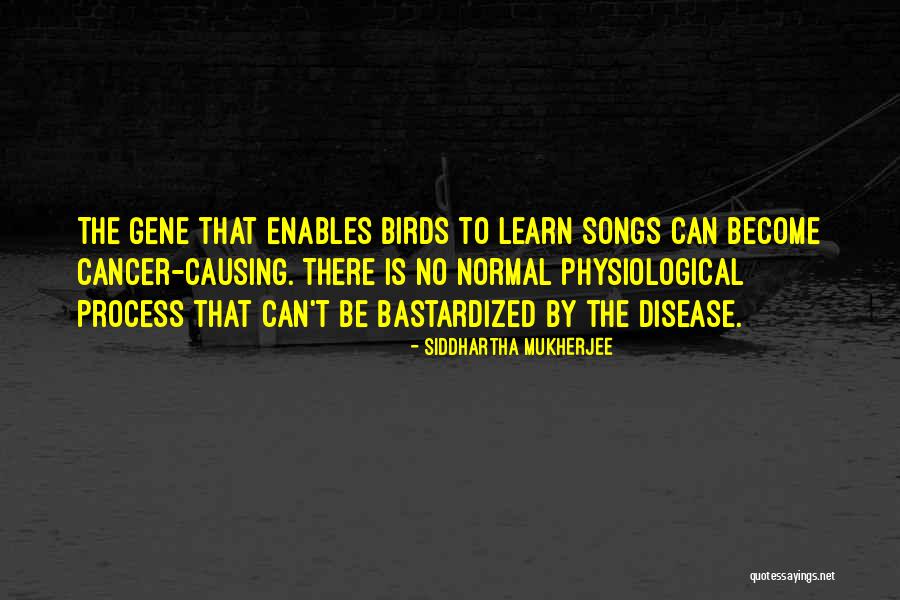 Sorsamsai Quotes By Siddhartha Mukherjee Sorsamsai Quotes By Siddhartha Mukherjee