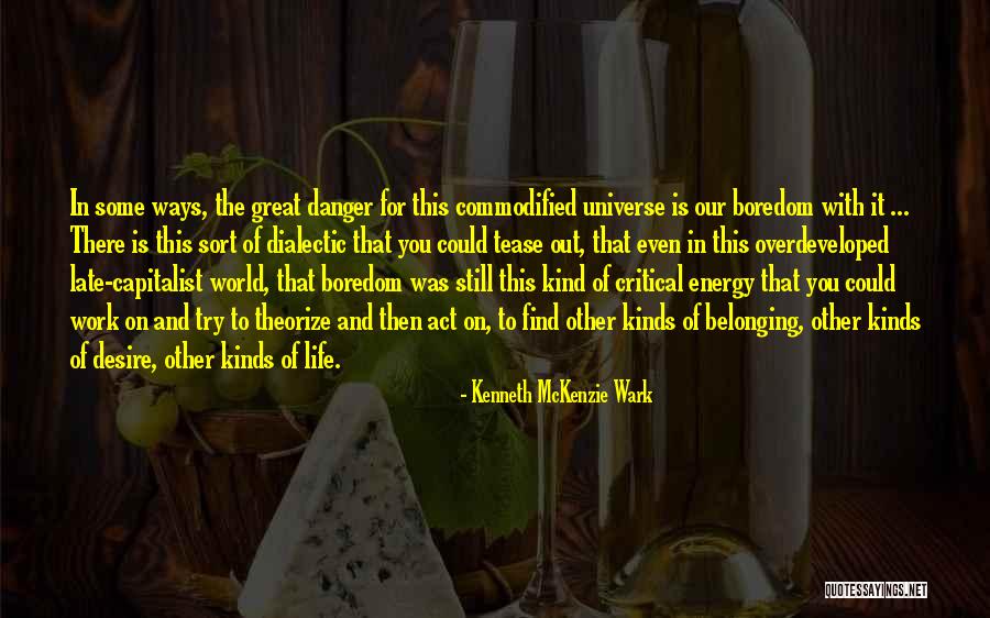 Sort Out Life Quotes By Kenneth McKenzie Wark