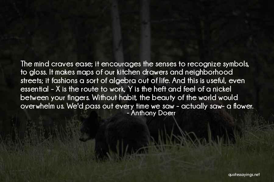 Sort Out Your Life Quotes By Anthony Doerr Sort Out Your Life Quotes By Anthony Doerr