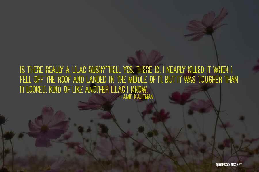 Sorten Muld Quotes By Amie Kaufman Sorten Muld Quotes By Amie Kaufman