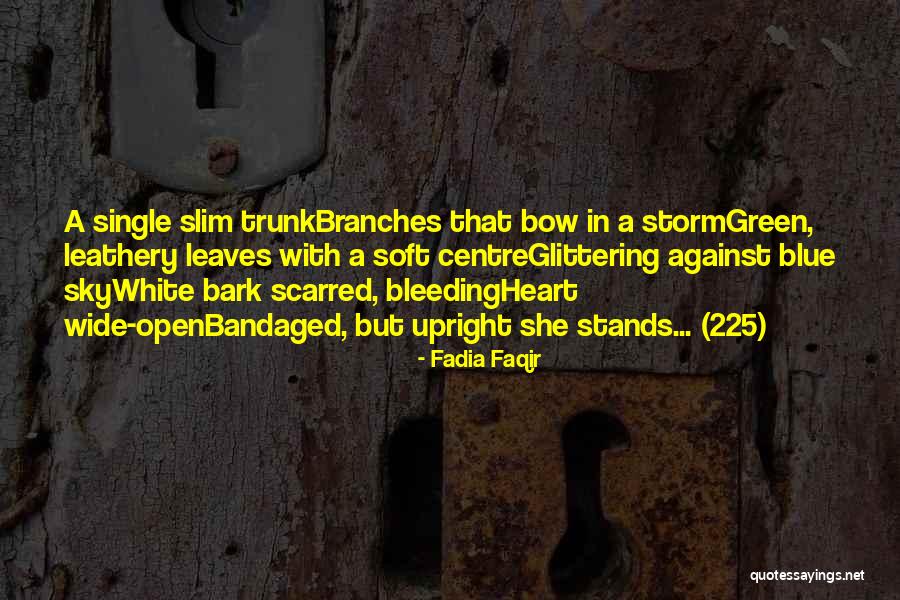 Sorten Muld Quotes By Fadia Faqir Sorten Muld Quotes By Fadia Faqir
