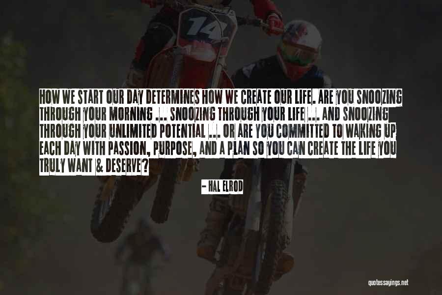 Sortes Quotes By Hal Elrod