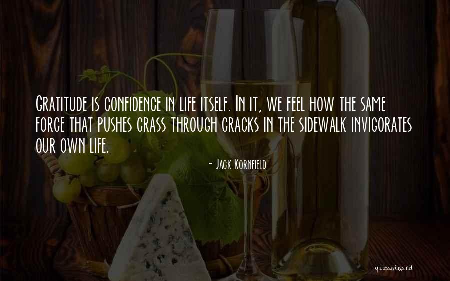 Sortilegio Significado Quotes By Jack Kornfield Sortilegio Significado Quotes By Jack Kornfield