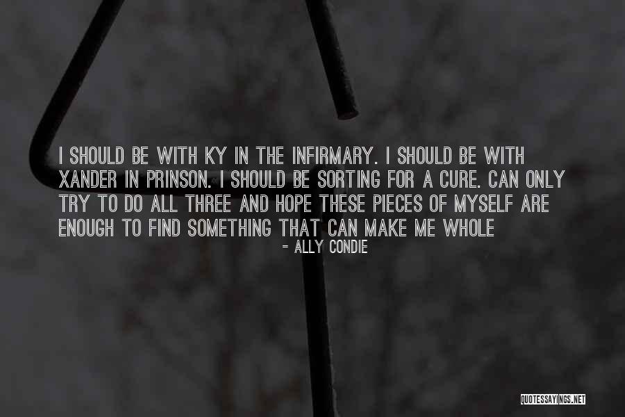 Sorting Things Out Quotes By Ally Condie