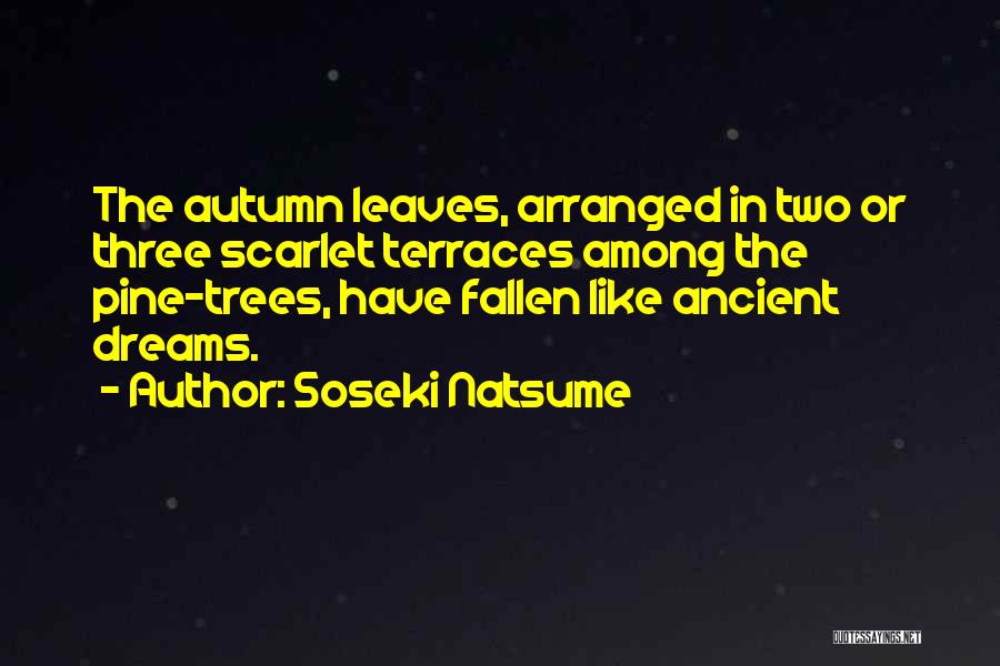 Soseki Natsume Quotes 690148