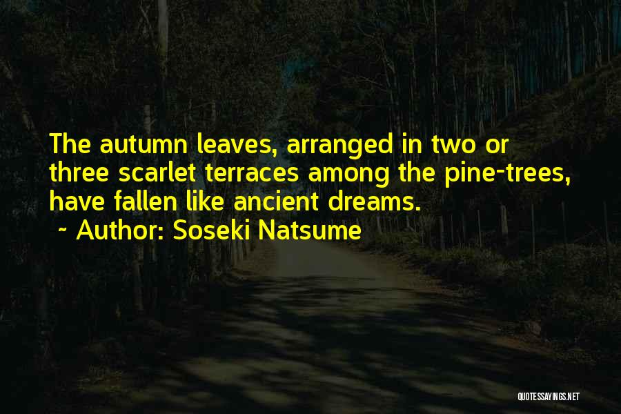 Soseki Quotes By Soseki Natsume