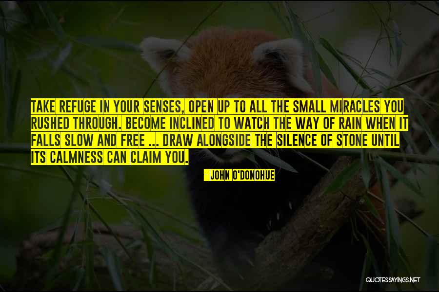 Sotiria Schenk Quotes By John O'Donohue Sotiria Schenk Quotes By John O'Donohue