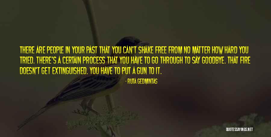 Sotirios Voulgaris Quotes By Ruta Gedmintas Sotirios Voulgaris Quotes By Ruta Gedmintas