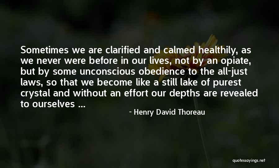 Sotiropoulos Fishing Quotes By Henry David Thoreau