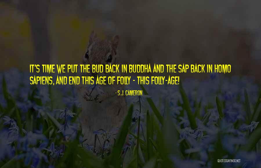 Sotomayors Childrens Book Quotes By S.J. Cameron Sotomayors Childrens Book Quotes By S.J. Cameron