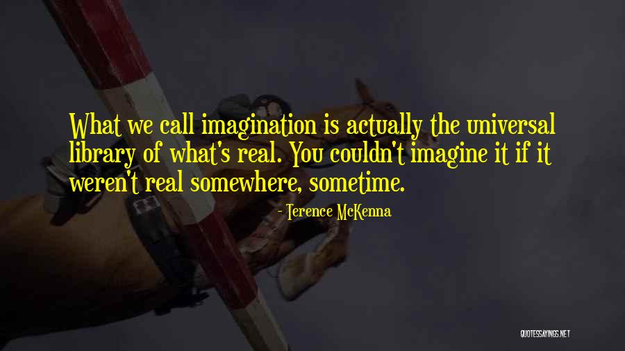 Soubrette Row Quotes By Terence McKenna Soubrette Row Quotes By Terence McKenna