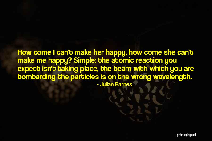 Soudabeh Moradian Quotes By Julian Barnes