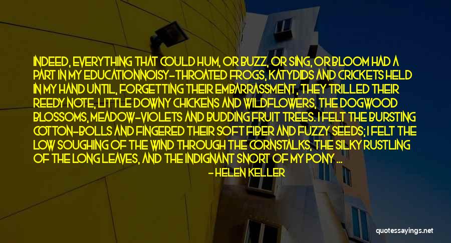 Soughing Of Wind Quotes By Helen Keller Soughing Of Wind Quotes By Helen Keller