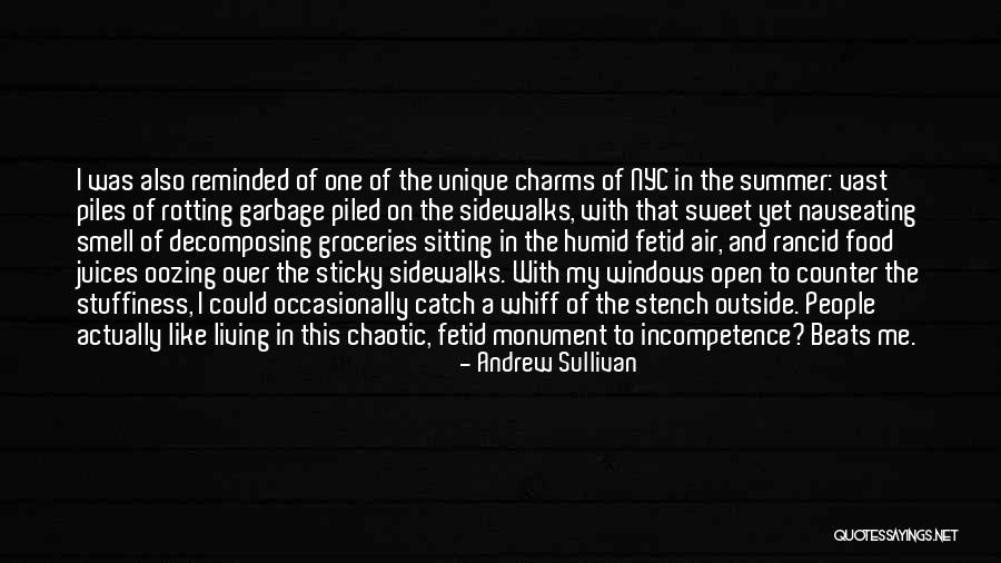 Soukaina Youtube Quotes By Andrew Sullivan Soukaina Youtube Quotes By Andrew Sullivan