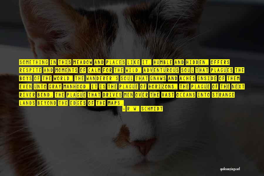Soul Aches Quotes By R.W. Schmidt Soul Aches Quotes By R.W. Schmidt