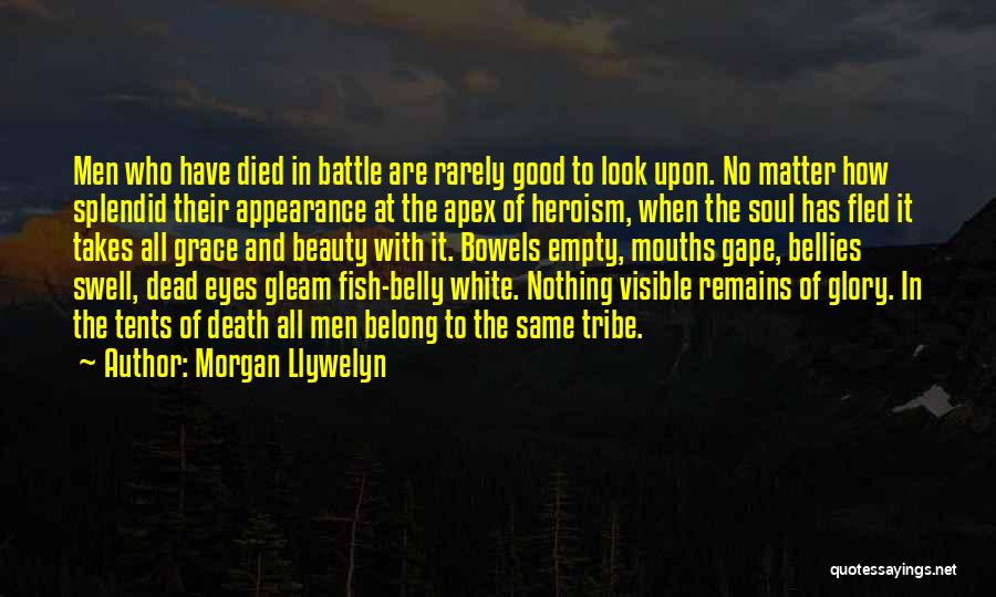 Soul And Beauty Quotes By Morgan Llywelyn