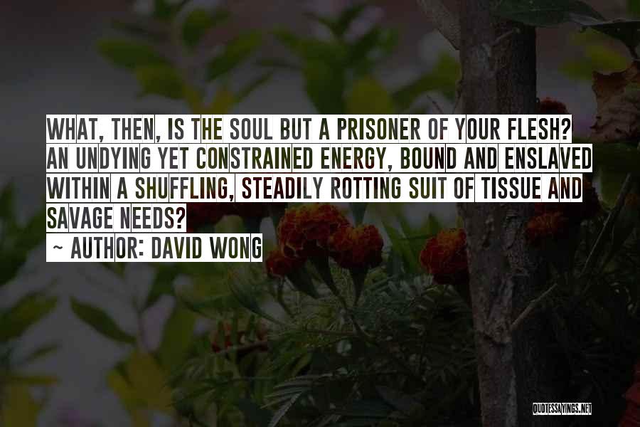 Soul And Energy Quotes By David Wong