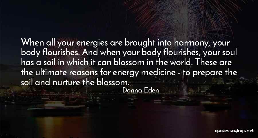 Soul And Energy Quotes By Donna Eden