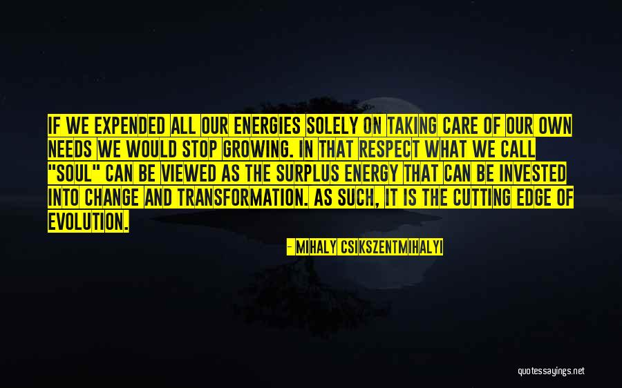 Soul And Energy Quotes By Mihaly Csikszentmihalyi