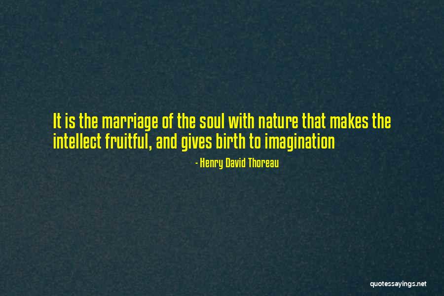 Soul And Nature Quotes By Henry David Thoreau