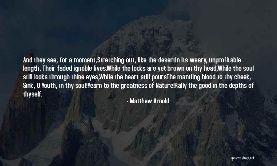 Soul And Nature Quotes By Matthew Arnold