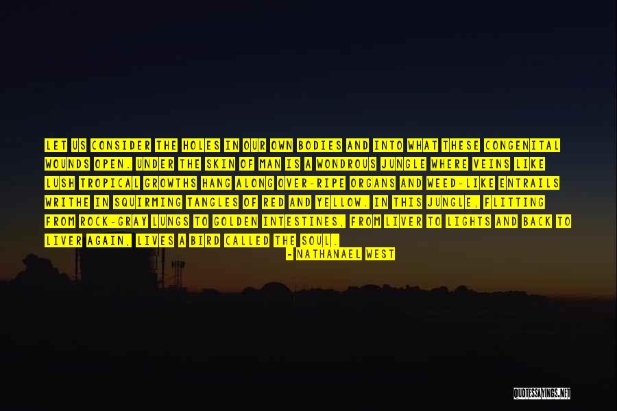 Soul And Nature Quotes By Nathanael West Soul And Nature Quotes By Nathanael West