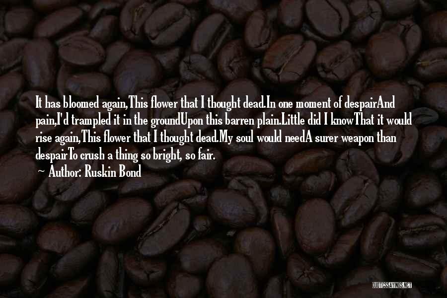 Soul Bond Quotes By Ruskin Bond