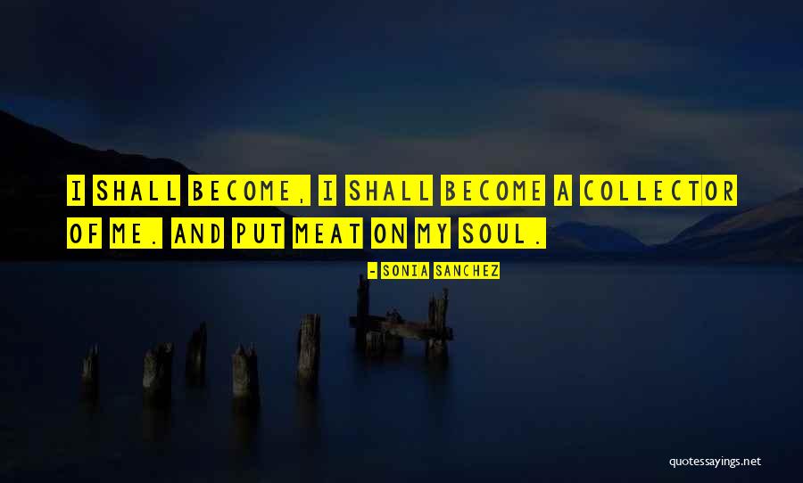Soul Collector Quotes By Sonia Sanchez Soul Collector Quotes By Sonia Sanchez