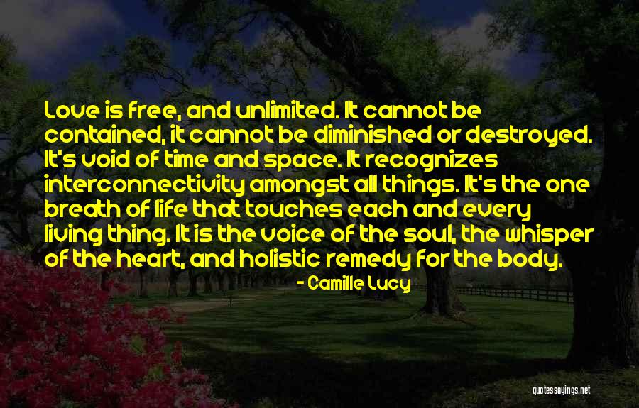 Soul Destroyed Quotes By Camille Lucy Soul Destroyed Quotes By Camille Lucy