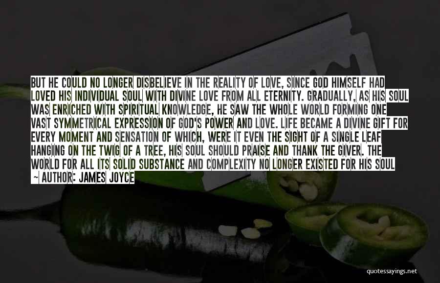 Soul Eternity Quotes By James Joyce
