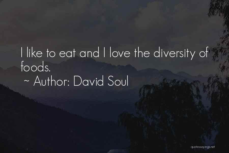 Soul Food Quotes By David Soul
