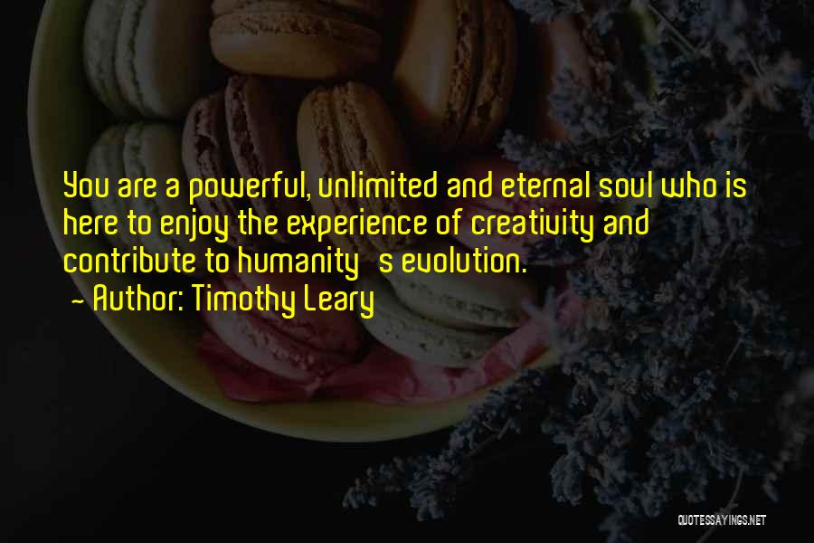 Soul Is Eternal Quotes By Timothy Leary