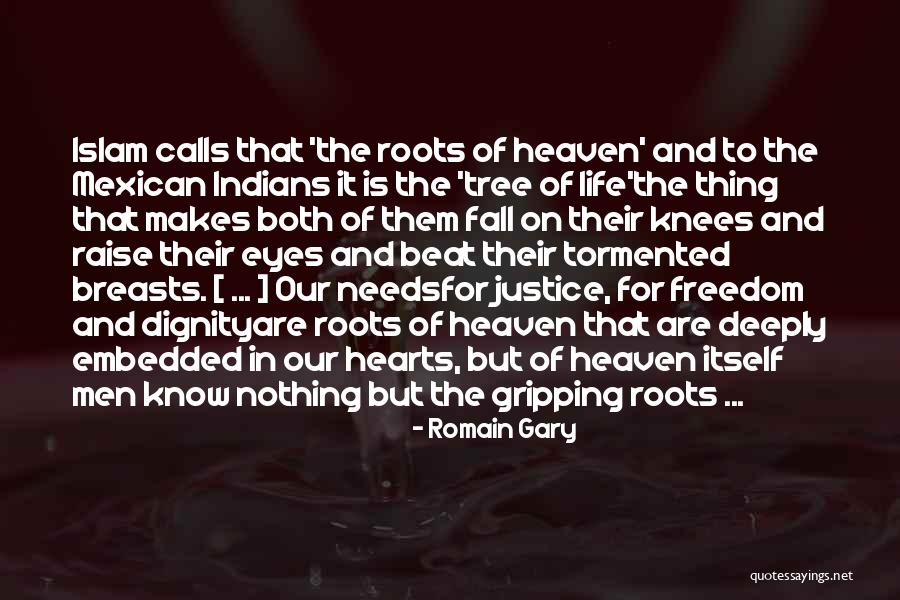 Soul Islam Quotes By Romain Gary Soul Islam Quotes By Romain Gary