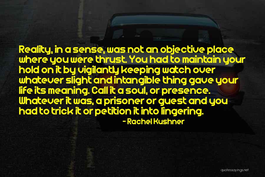 Soul Keeping Quotes By Rachel Kushner Soul Keeping Quotes By Rachel Kushner