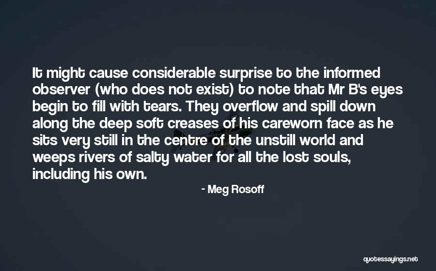 Soul Making Literary Quotes By Meg Rosoff Soul Making Literary Quotes By Meg Rosoff