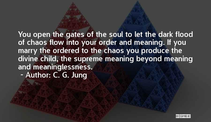 Soul Meaning Quotes By C. G. Jung