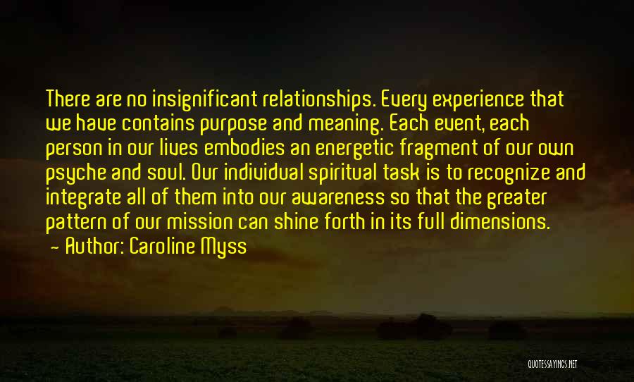 Soul Meaning Quotes By Caroline Myss