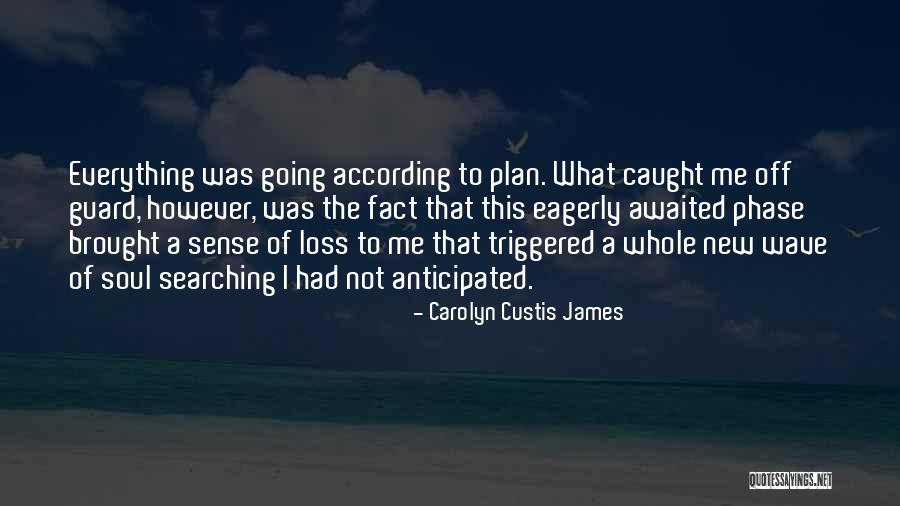 Soul Searching Quotes By Carolyn Custis James