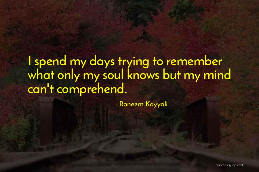 Soul Searching Quotes By Raneem Kayyali