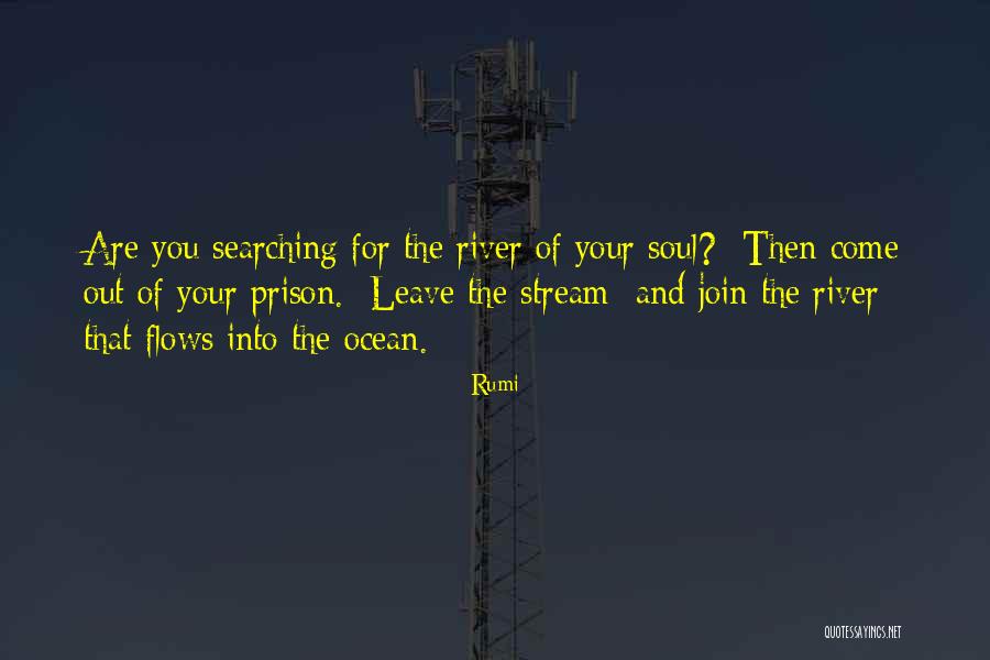 Soul Searching Quotes By Rumi Soul Searching Quotes By Rumi
