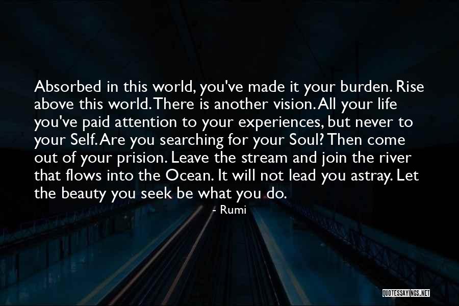 Soul Searching Quotes By Rumi