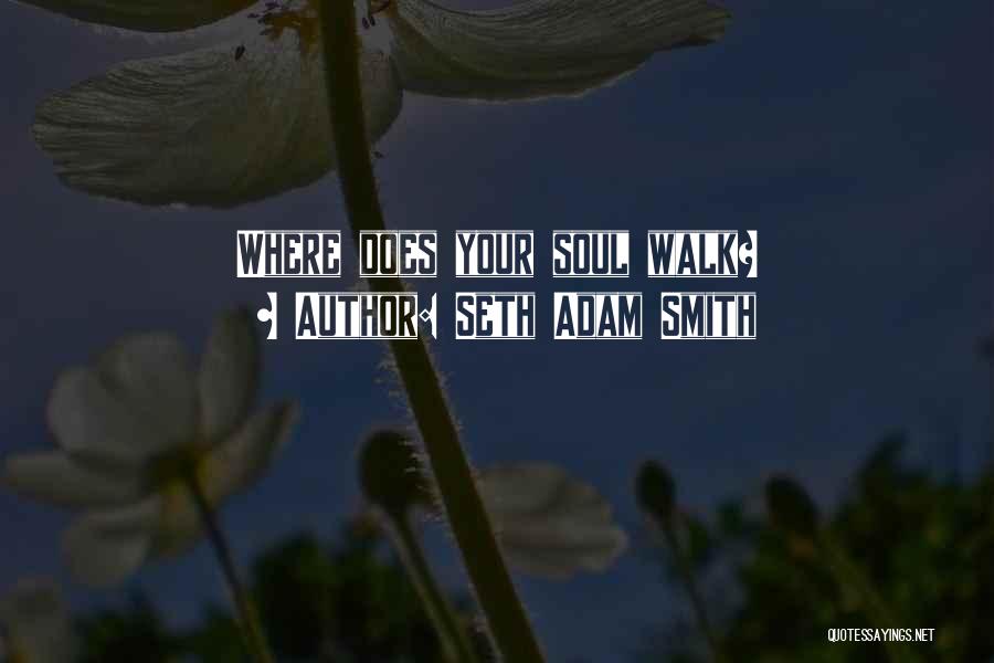 Soul Searching Quotes By Seth Adam Smith