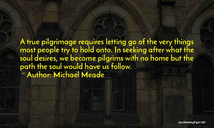 Soul Seeking Quotes By Michael Meade