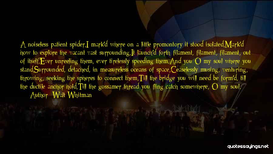 Soul Seeking Quotes By Walt Whitman
