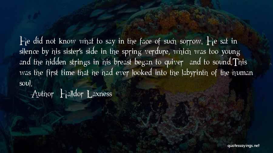 Soul Sister Quotes By Halldor Laxness