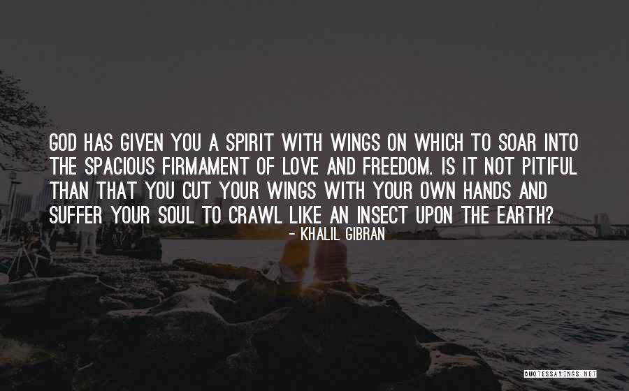 Soul Soar Quotes By Khalil Gibran