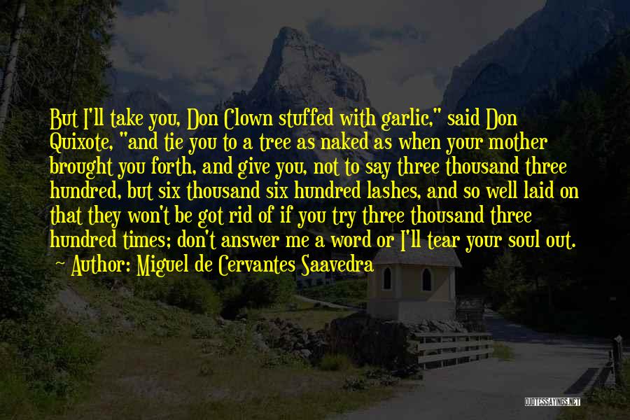 Soul Tie Quotes By Miguel De Cervantes Saavedra