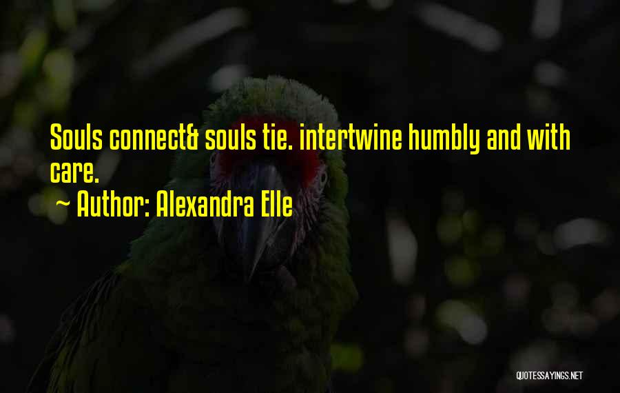 Soul Ties Quotes By Alexandra Elle